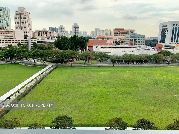 Sky Vue (D20), Condominium #189067062
